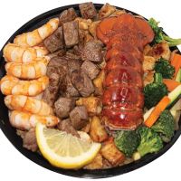 Terry Hibachi ico