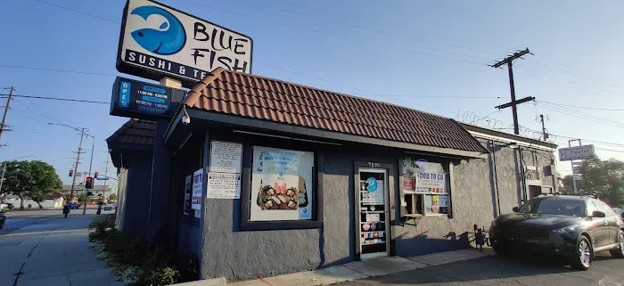 Blue fish Picture 5