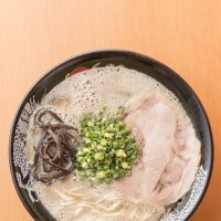 Hakata Ikkousha Tonkotsu Ramen Torrance ico