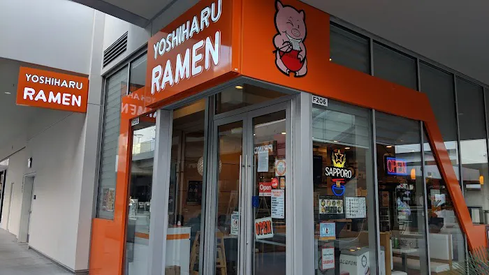 Yoshiharu Ramen Picture 5
