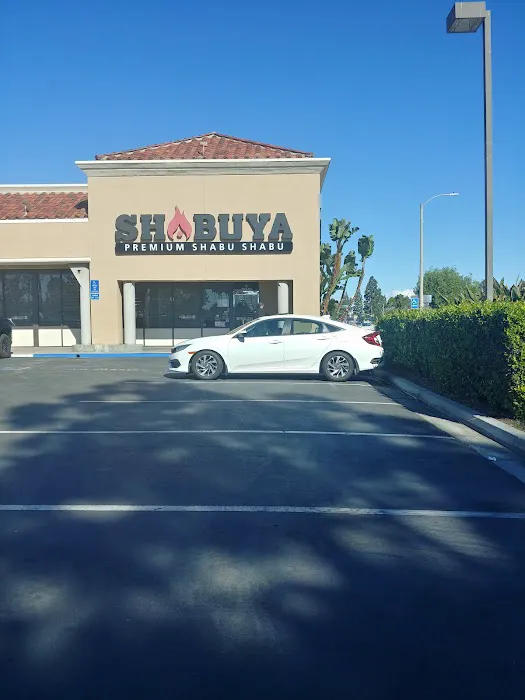 Shabuya Picture 3