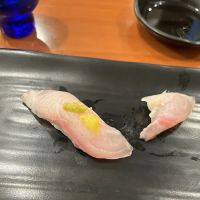 Sushi Go 55 ico