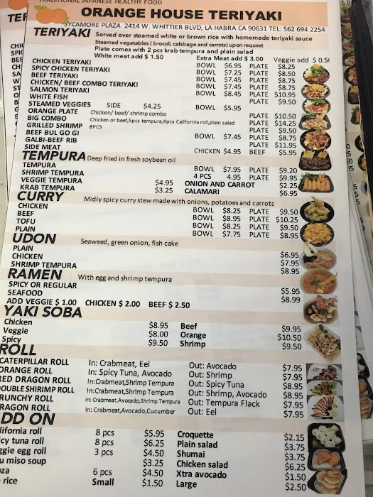 Teriyaki Tempura Picture 5
