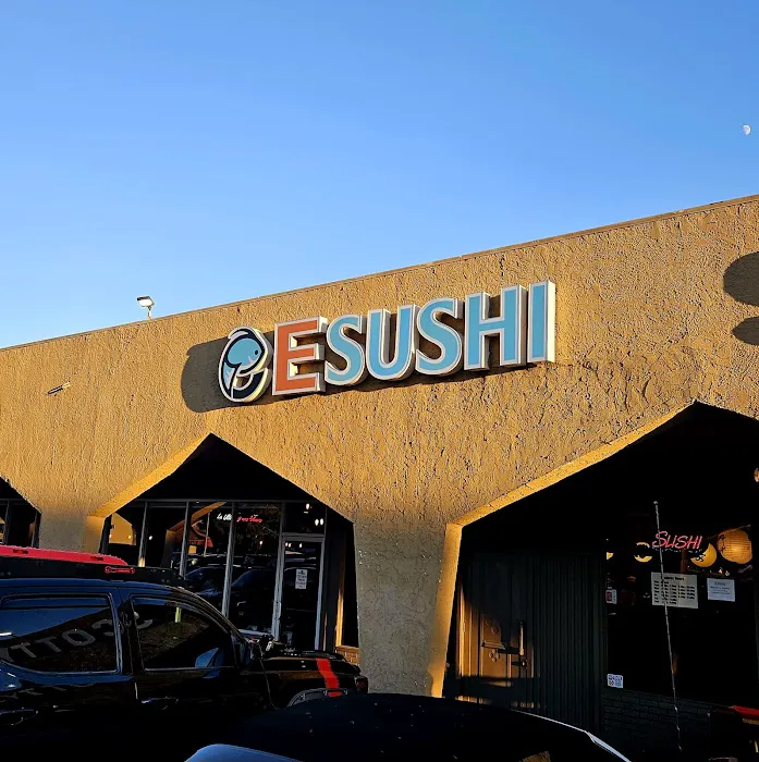 E Sushi Japanese Restaurant Picture 3