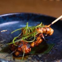 Oto Sushi Newport Beach/Costa Mesa ico
