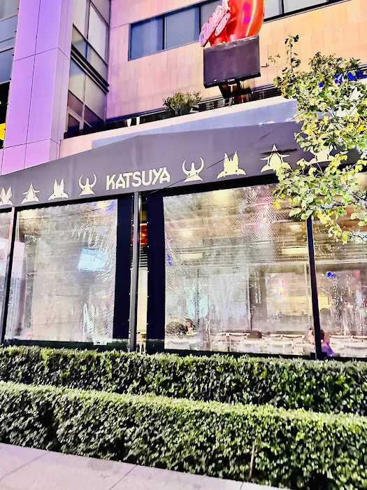 Katsuya Picture 5