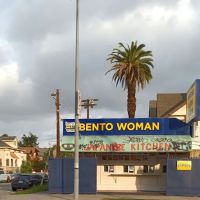 Bento Woman ico