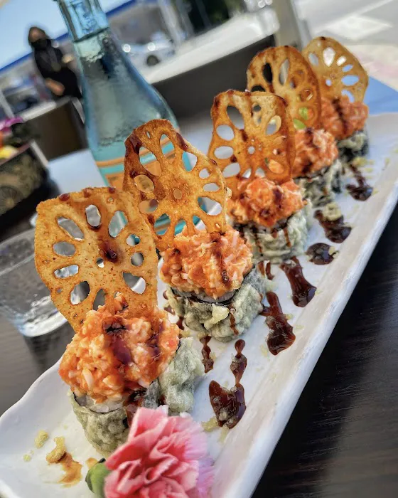 Sushi HON Picture 7