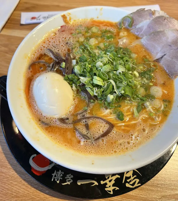 Hakata Ikkousha Tonkotsu Ramen Little Tokyo Picture 3