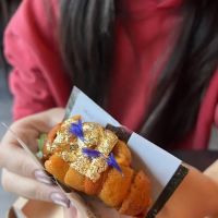 Temaki society ico