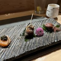 OOTORO LITTLE TOKYO ico