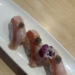SANKAI Japanese Cuisine