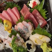 Shinkai Sushi Japanese Fusion ico