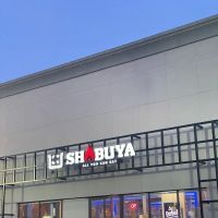 Shabuya ico