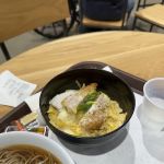 Miyabi Tei