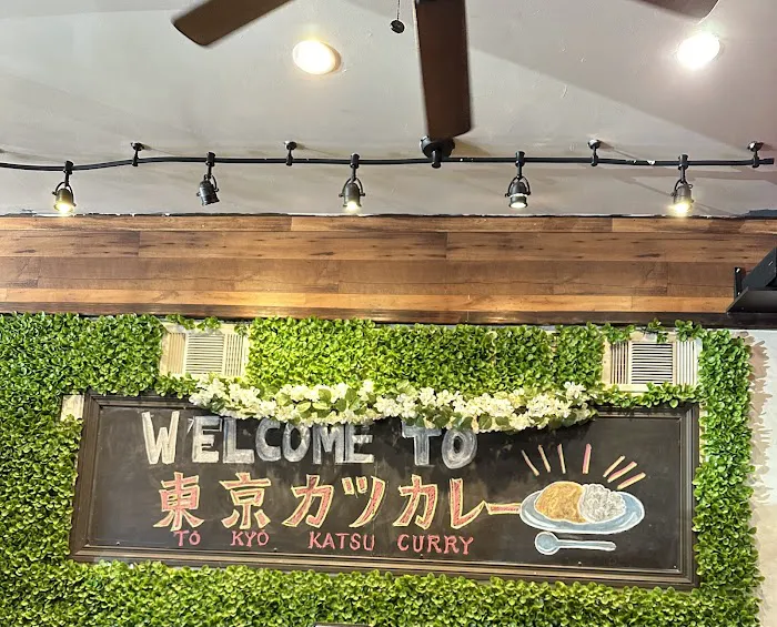 Tokyo Katsu Curry Picture 9