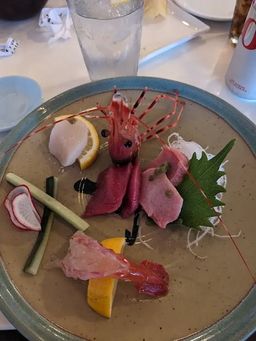 Sushi Noguchi Picture 5