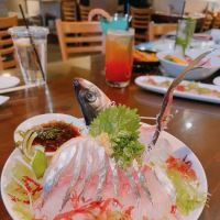 Opus Sushi ico