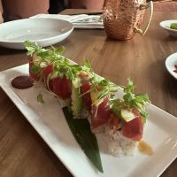 The Red Fish ico
