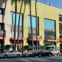 Daikokuya - Sawtelle ico