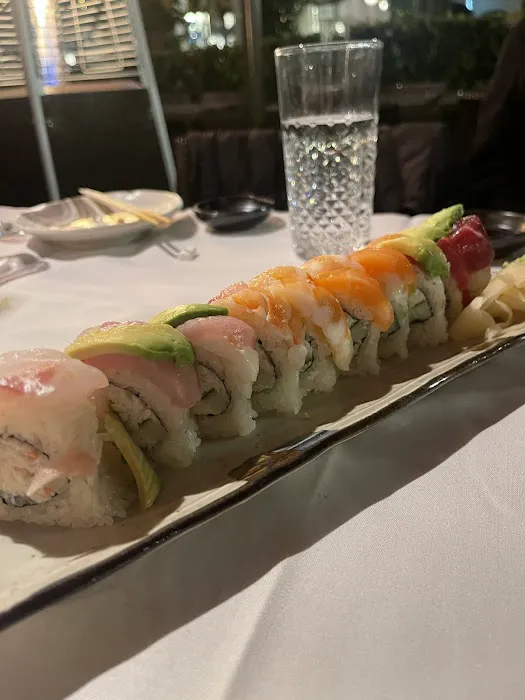 Bluefin Picture 4