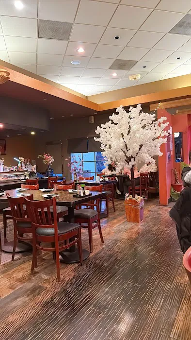 Yosuke Sushi Picture 4