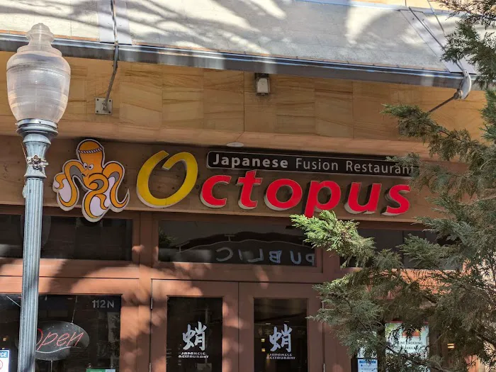 Octopus Japanese Restaurant Picture 9