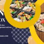 Ichirin Japanese Bento Box