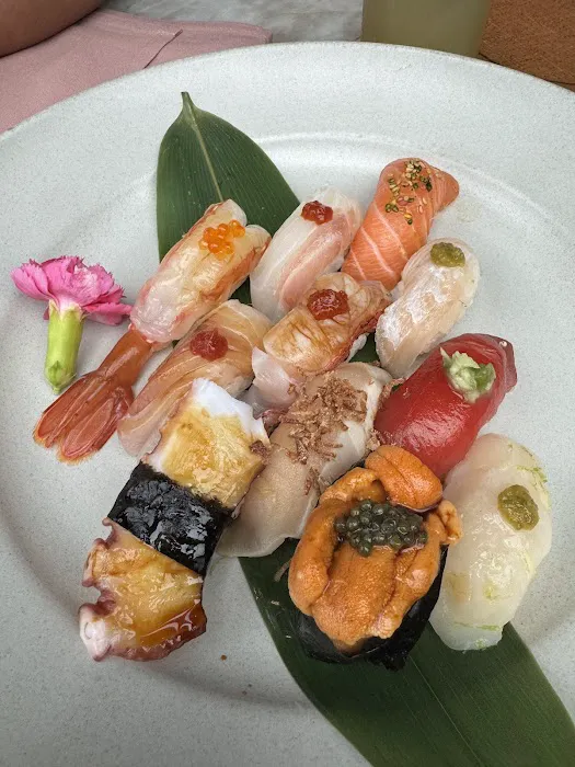 Wabi on Rose Picture 10