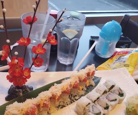 Sake Roll Sushi