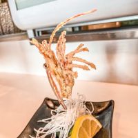 Kamis Sushi ico