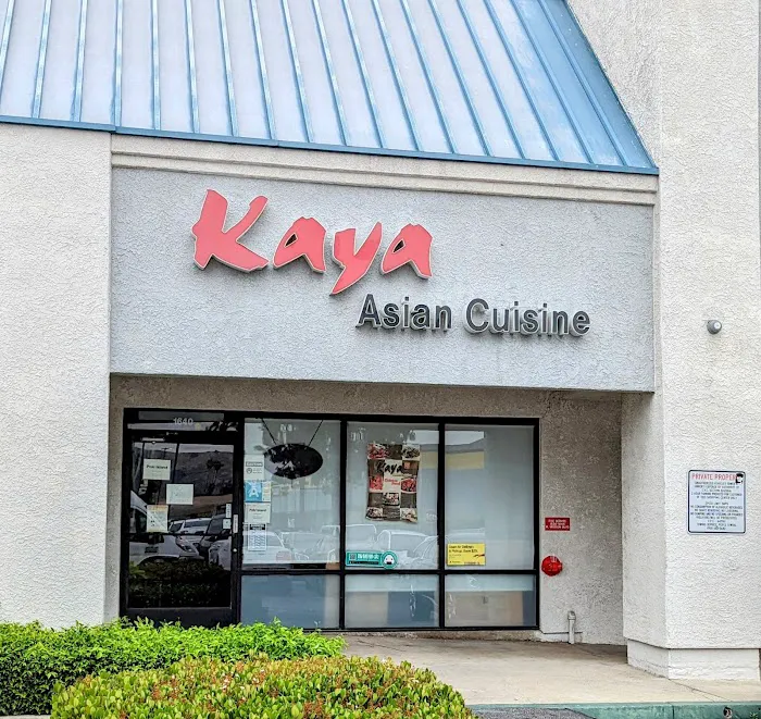 Kaya Asian Cuisine Picture 4