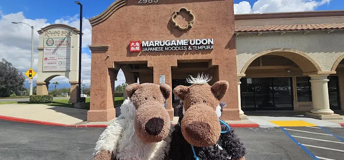 Marugame Udon Picture 5
