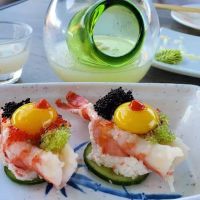 Sashimi ico