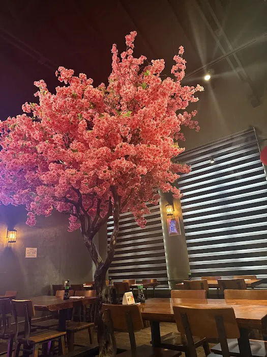 Sushi One Spot Picture 1