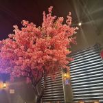 Sushi One Spot