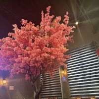 Sushi One Spot ico