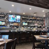 Terra Sushi ico