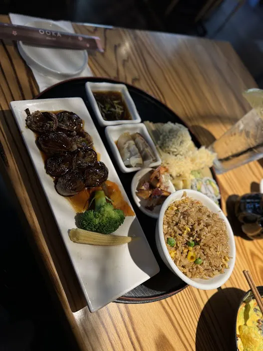 Ooka Sushi & hibachi steak House Picture 3
