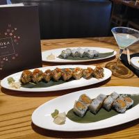 Ooka Sushi & hibachi steak House ico