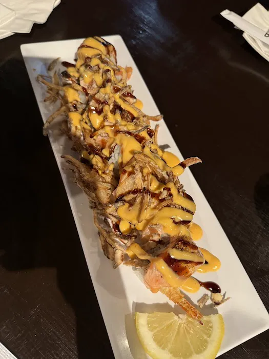 Sushi R91 Picture 1