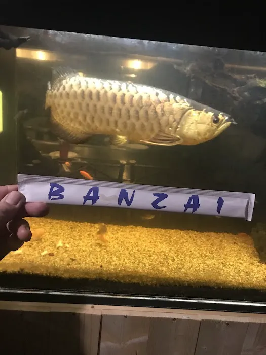 Banzai Picture 1