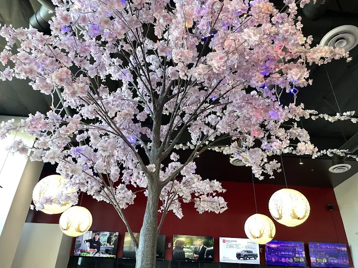 Sakura Sushi Picture 9