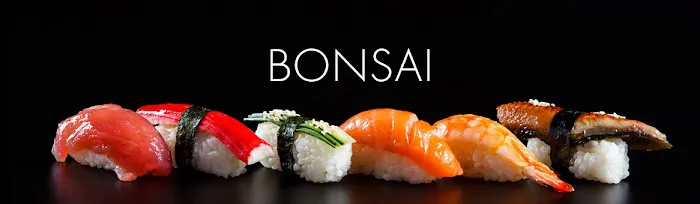 Bonsai Picture 1