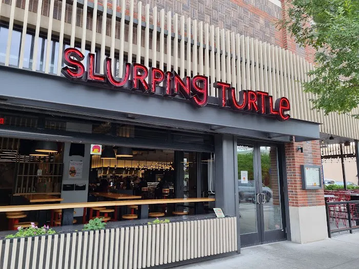 Slurping Turtle Picture 4