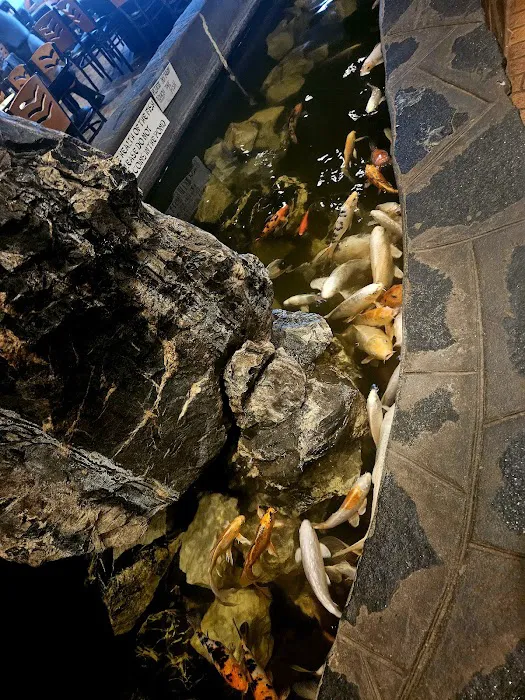 Okinawa Japanese Grillhouse & Sushi Bar Picture 10