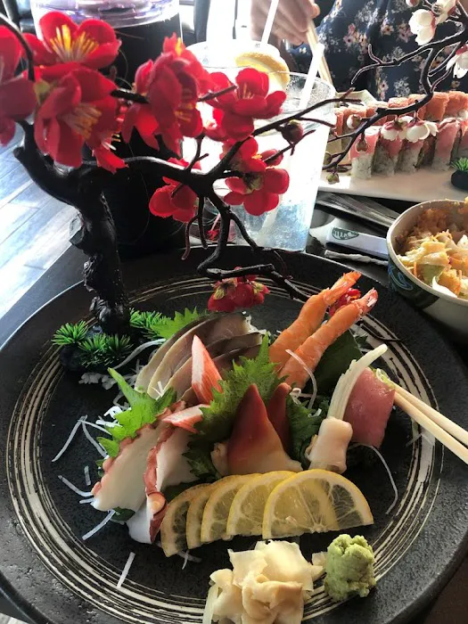 Tank's Sushi Bistro (Nocatee) Picture 10