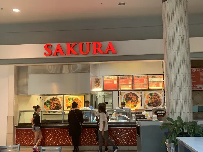 Sakura Express Picture 3