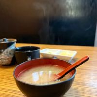 Domo Sushi ico