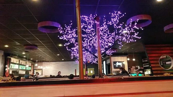 Volcano Sushi & Asian Bistro Picture 8